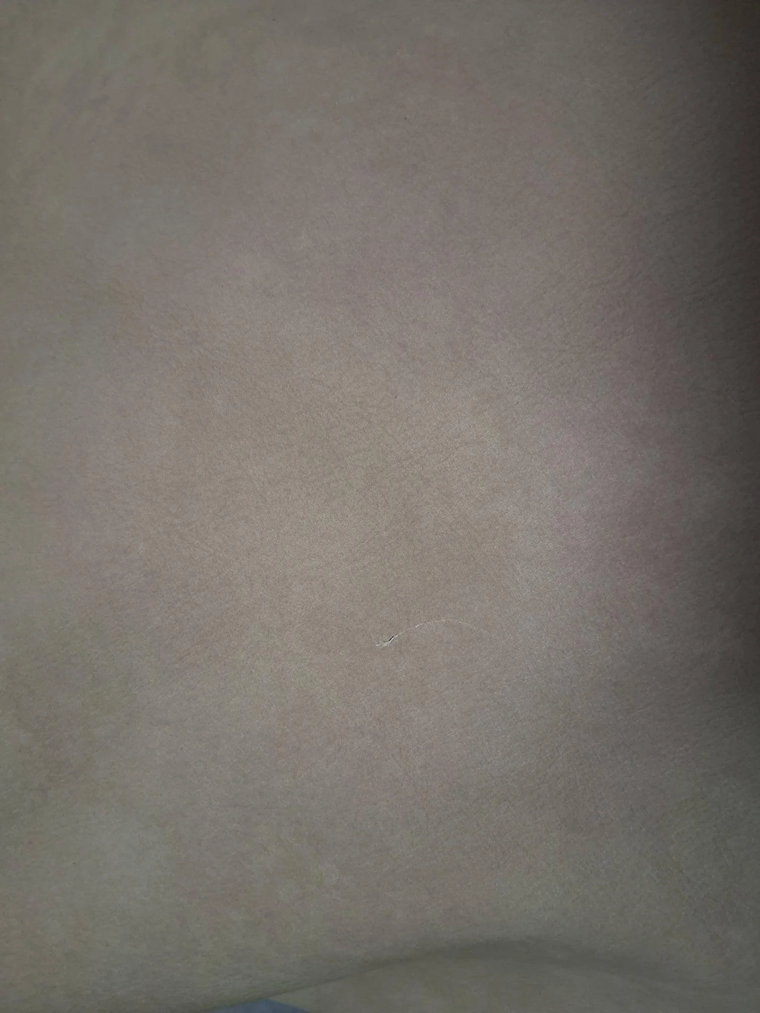 Outlet Modulares Sofa Paula Showroom Düsseldorf - Image 7